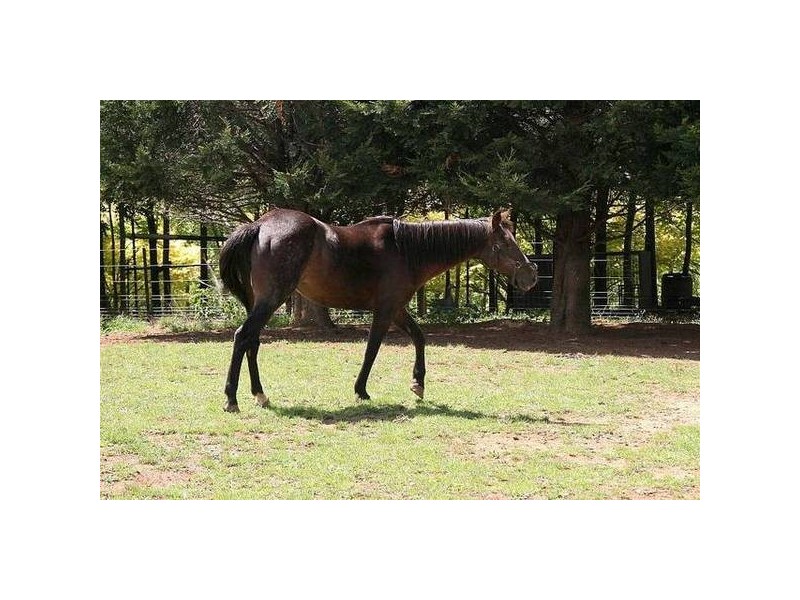 425 Sheep Station Creek Road, Yellingbo VIC 3139