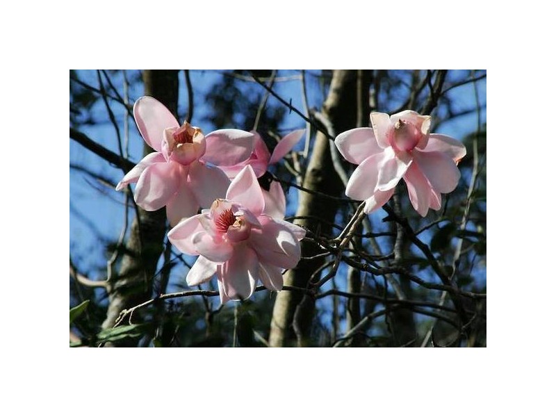 425 Sheep Station Creek Road, Yellingbo VIC 3139