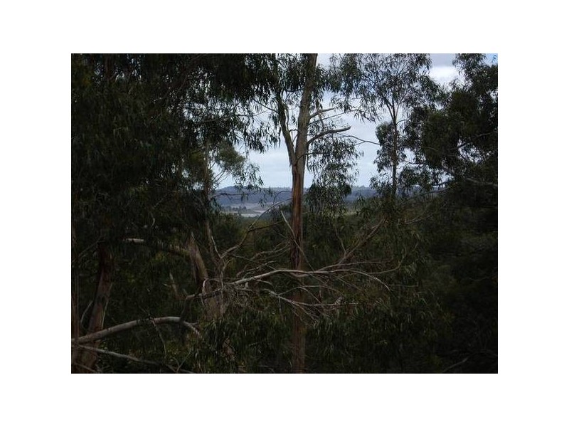 66 Temple Road, Selby VIC 3159