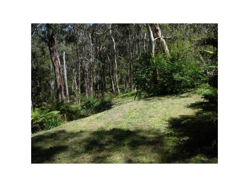 66 Temple Road, Selby VIC 3159