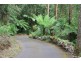 7 Perrins Creek Road, Olinda VIC 3788