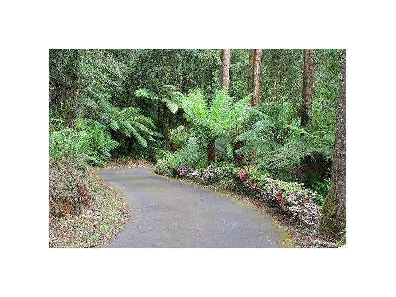 7 Perrins Creek Road, Olinda VIC 3788