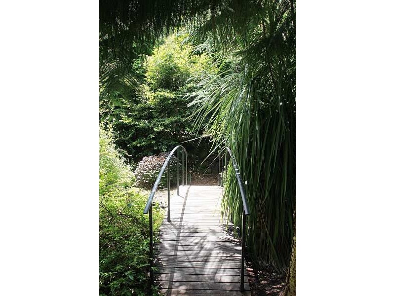 109 Hilton Road, Sassafras VIC 3787