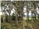 16 Ridge Road, Kallista VIC 3791