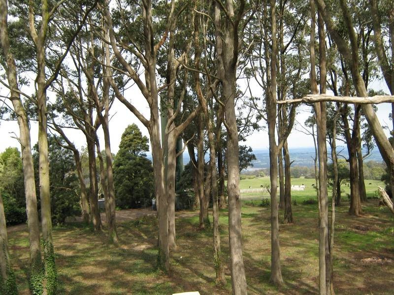 16 Ridge Road, Kallista VIC 3791