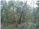 Lot 217, 77 Dalton Way, Molloy Island WA 6290