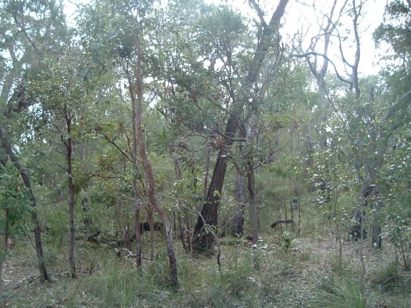 Lot 217, 77 Dalton Way, Molloy Island WA 6290