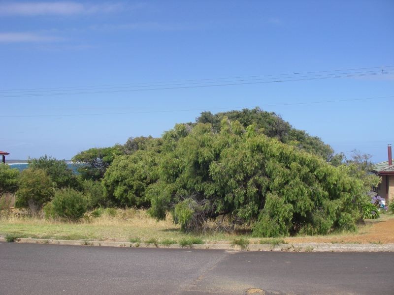 33 Turner Street, Augusta WA 6290