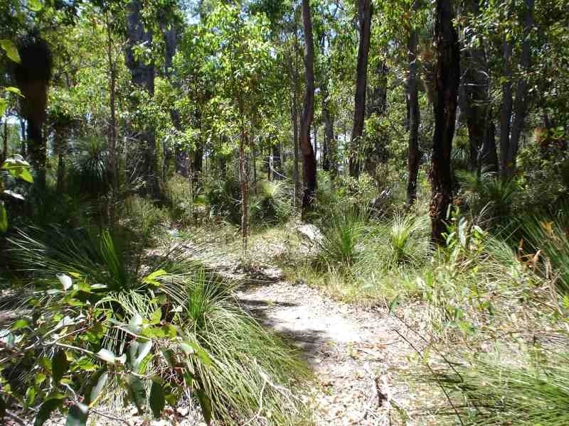 27 Sabina Drive, Molloy Island WA 6290