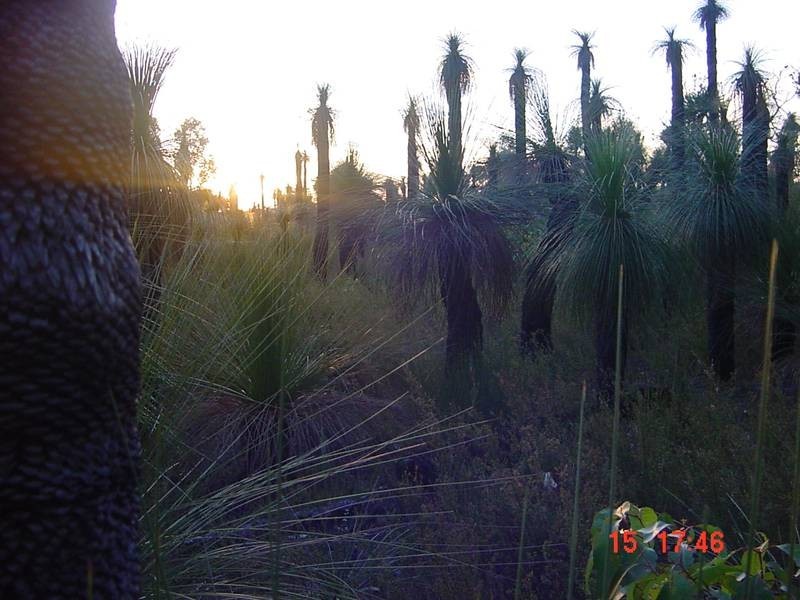 301 Flora Grove, Molloy Island WA 6290