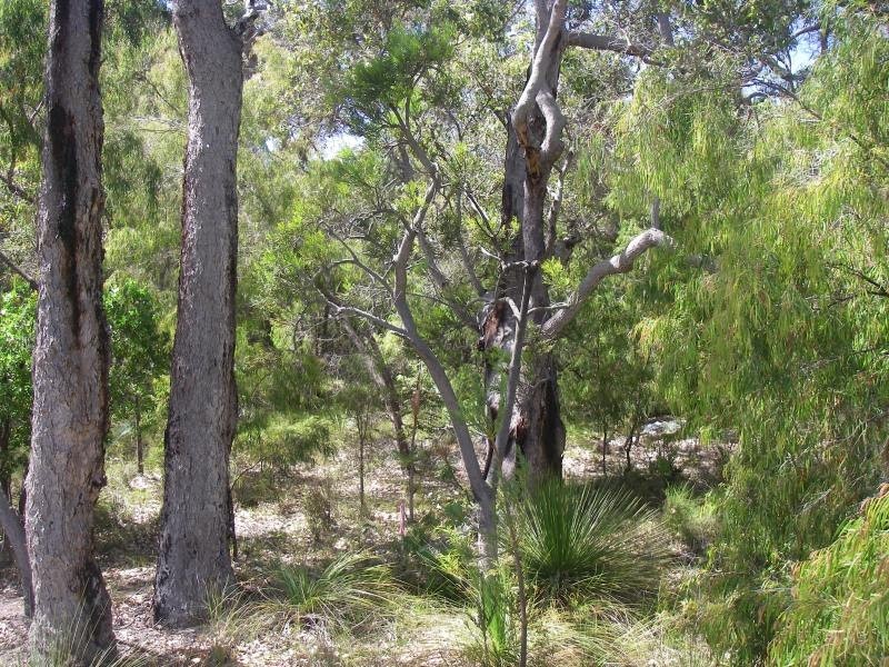 301 Flora Grove, Molloy Island WA 6290