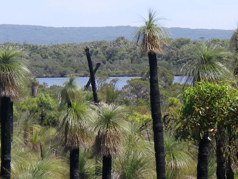 301 Flora Grove, Molloy Island WA 6290