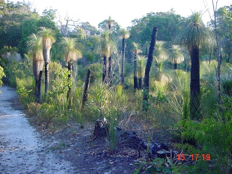 301 Flora Grove, Molloy Island WA 6290