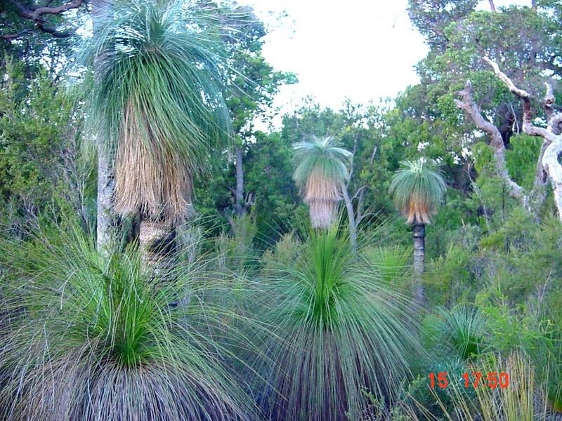 301 Flora Grove, Molloy Island WA 6290