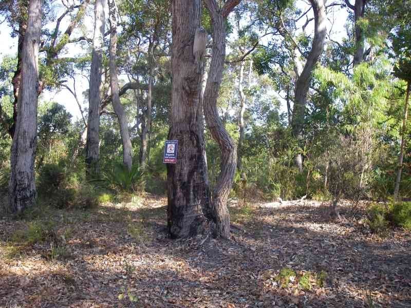 Lot 69, 15 Hale Avenue, Molloy Island WA 6290