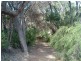 Lot 101, 67B Turner Street, Augusta WA 6290