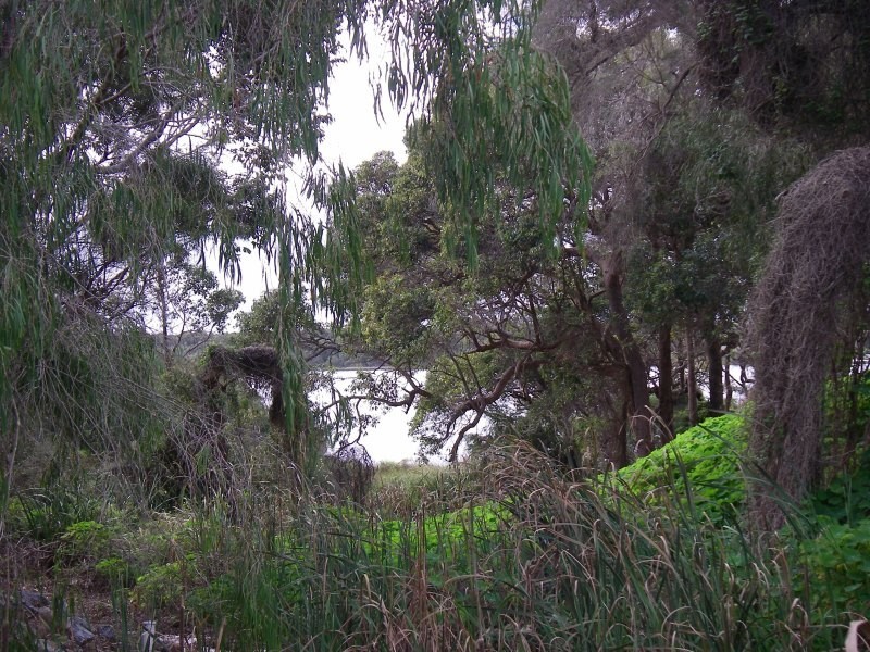 5 Cassidy Street, Augusta WA 6290