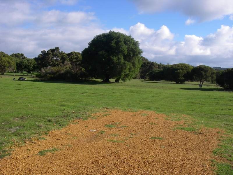 Proposed Lot 2 of Lot 31 Bussell Hwy, Augusta WA 6290