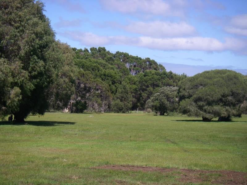 Proposed Lot 2 of Lot 31 Bussell Hwy, Augusta WA 6290