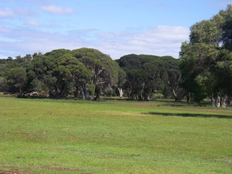 Proposed Lot 2 of Lot 31 Bussell Hwy, Augusta WA 6290