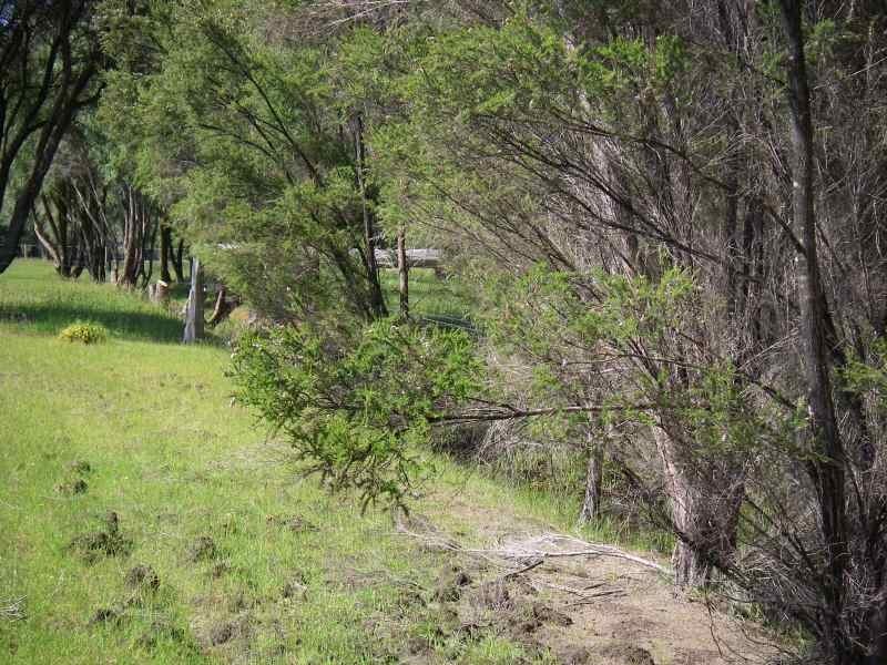 Proposed Lot 2 of Lot 31 Bussell Hwy, Augusta WA 6290