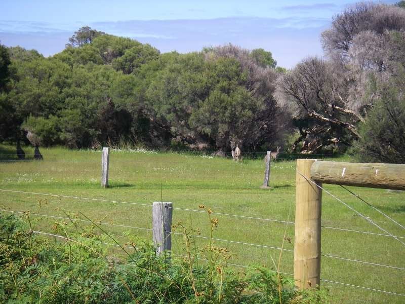Proposed Lot 2 of Lot 31 Bussell Hwy, Augusta WA 6290
