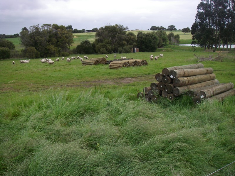 1483 Brockman Highway (Nillup), Alexandra Bridge WA 6288