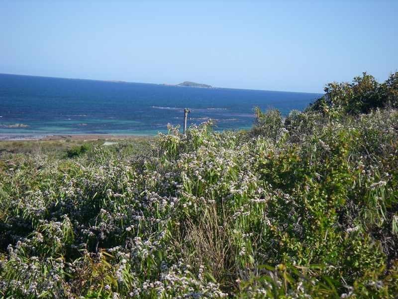 10 Cygnet Crescent, Augusta WA 6290