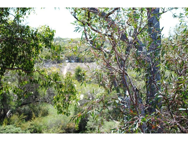 Lot 22, 56 Sabina Drive, Molloy Island WA 6290