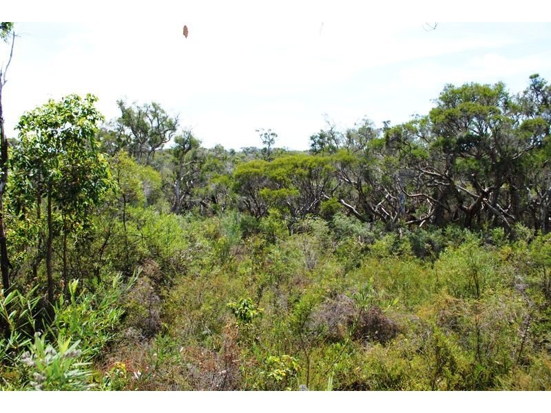 Lot 22, 56 Sabina Drive, Molloy Island WA 6290