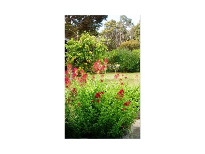 19 Bussell Highway, Augusta WA 6290