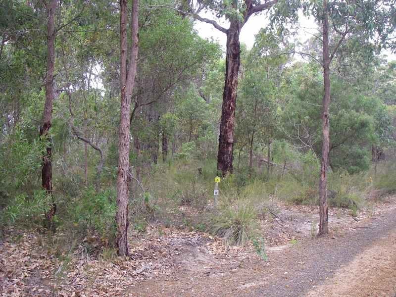 68 Sabina Drive, Molloy Island WA 6290