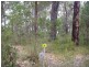 68 Sabina Drive, Molloy Island WA 6290