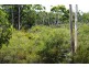 Lot 2719, Sussex Loc Benbow Road, Karridale WA 6288
