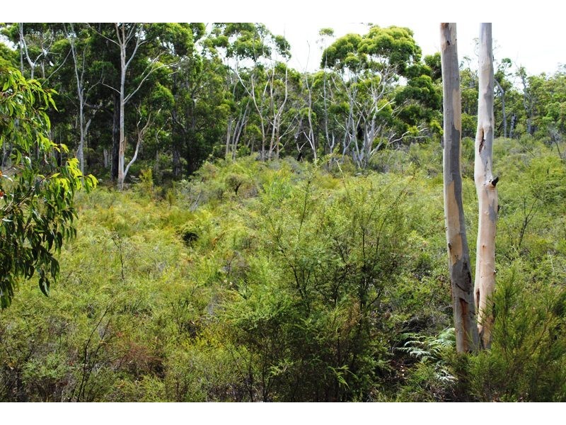 Lot 2719, Sussex Loc Benbow Road, Karridale WA 6288