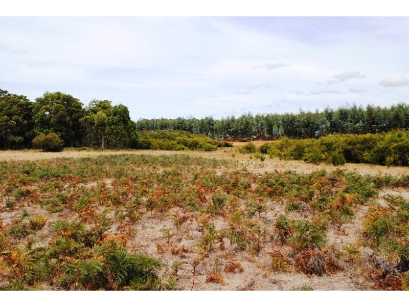 Lot 2719, Sussex Loc Benbow Road, Karridale WA 6288