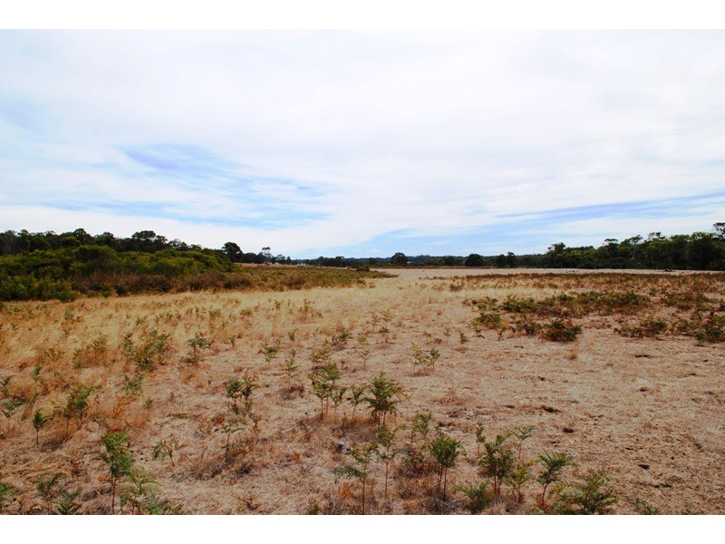 Lot 2719, Sussex Loc Benbow Road, Karridale WA 6288