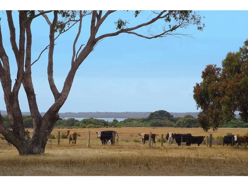 120 Challis Road, Augusta WA 6290