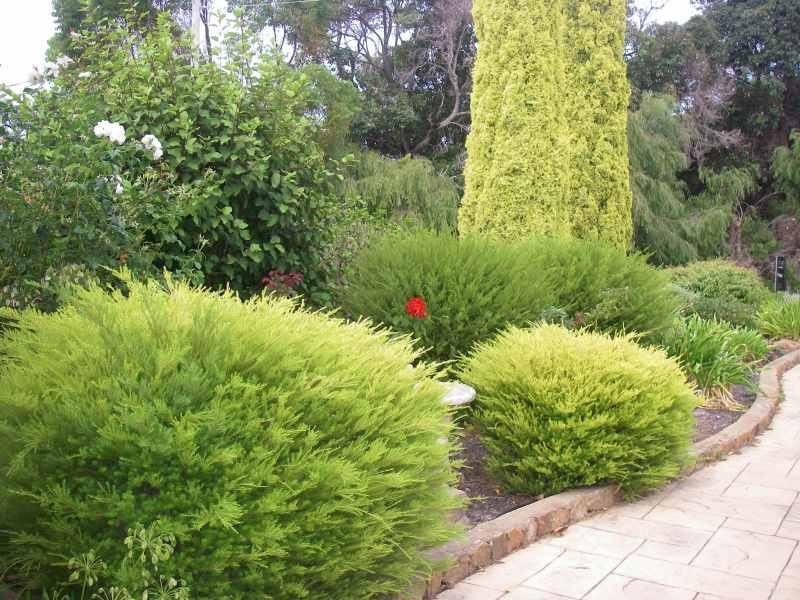 6 Stirling Street, Augusta WA 6290