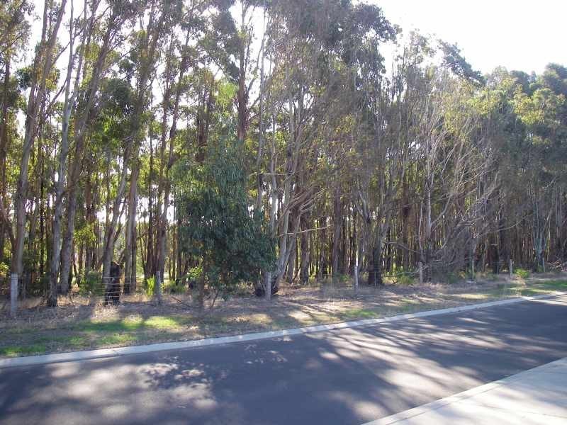 Lot 23, 14 Old Farm Road, Augusta WA 6290