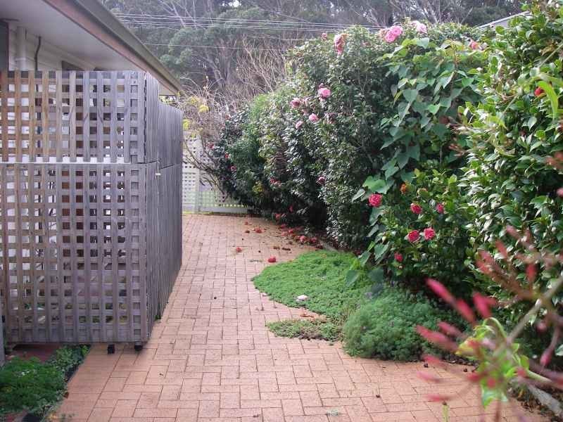 33 Donovan, Augusta WA 6290