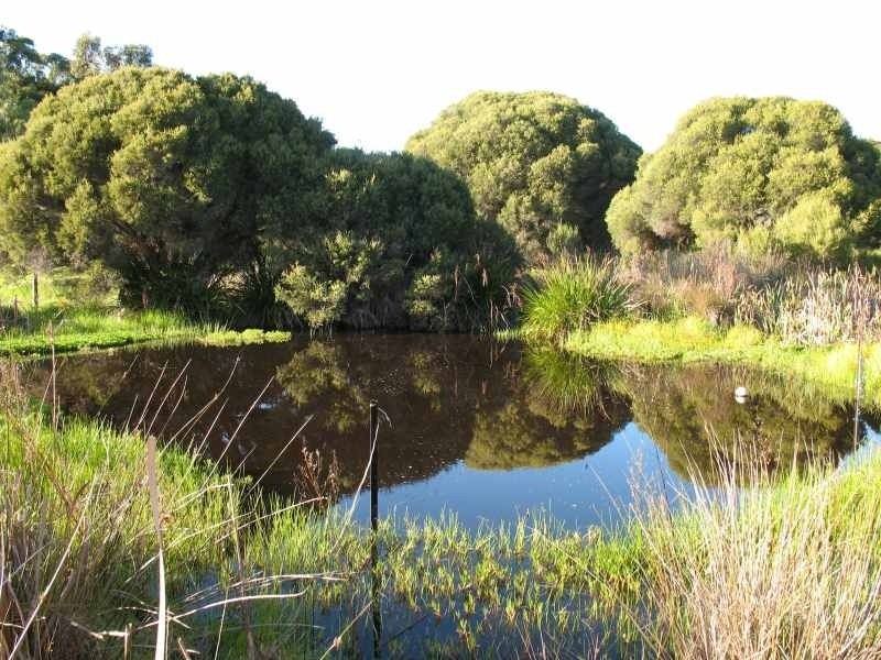 38 Matthews Road, Augusta WA 6290