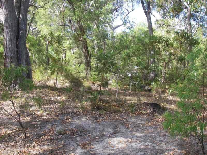 Lot 219, 23 Warrior Way, Molloy Island WA 6290