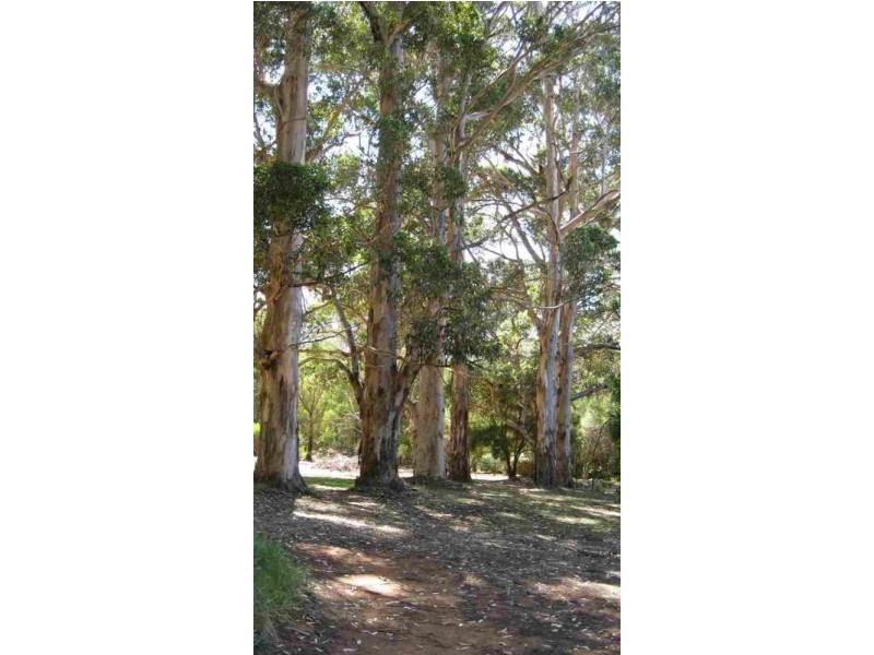 225 Bushby Road, Karridale WA 6288