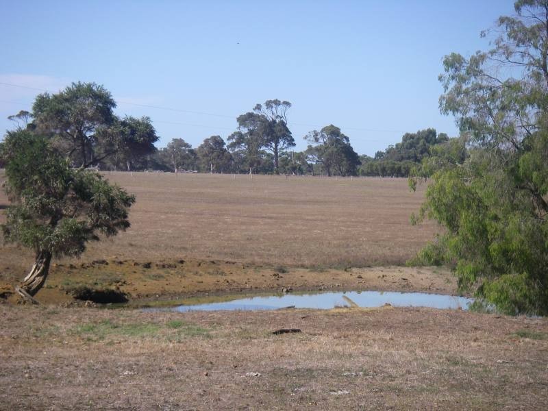 Lot 302,  Buller Road, Karridale WA 6288