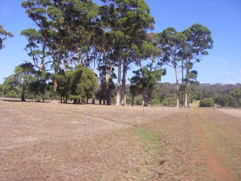 Lot 302,  Buller Road, Karridale WA 6288