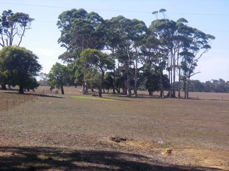 Lot 302,  Buller Road, Karridale WA 6288