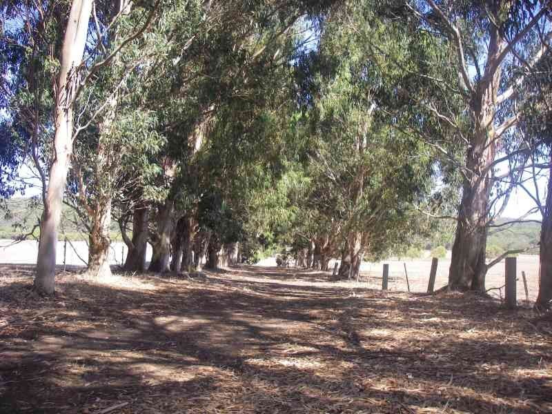 Lot 304,  Buller Road, Karridale WA 6288