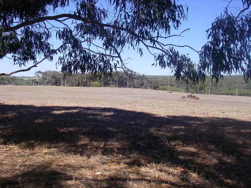 Lot 304,  Buller Road, Karridale WA 6288
