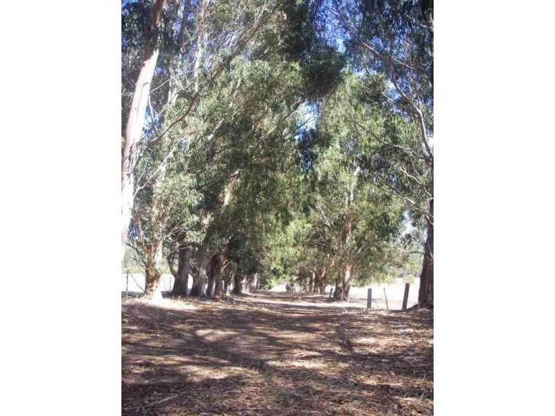Lot 304,  Buller Road, Karridale WA 6288
